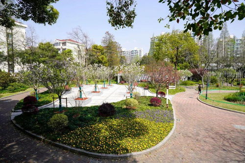 家門口的綠意時(shí)光 普陀這兩個(gè)小花園，你逛過了嗎？