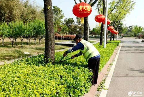 臨沭縣 以精細化綠化管理為抓手，全面提升城市治理水平