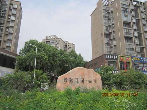 武漢新東物業管理 全域服務·專業護航每一寸空間