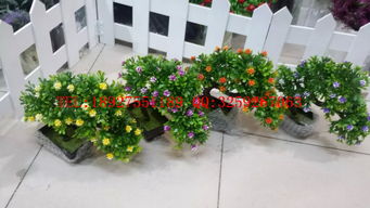 廣州仿真植物盆景批發 家居裝飾與禮品花卉的性價比之選